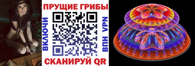 купить наркоту Курск kraken сайт Галлюциногенные грибы ЛСД